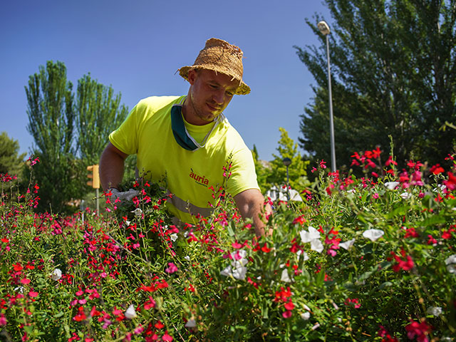 Empreses-Jardineria