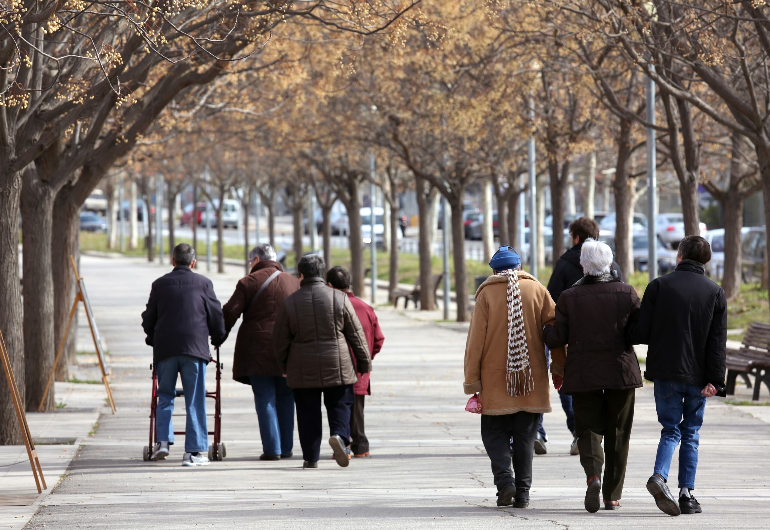 Suport a l'Autonomia